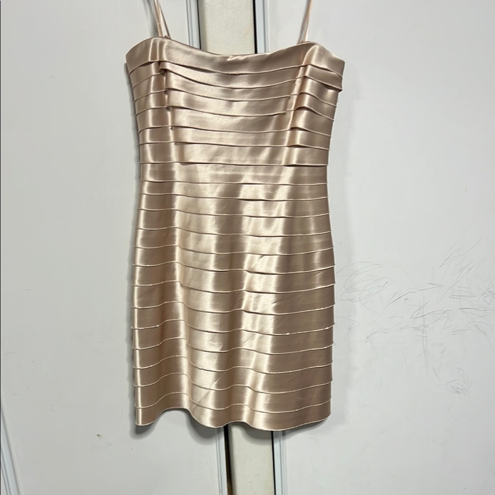BCBG MAXZARIA elegant strapless dress